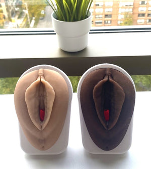 Vulva Model with Vaginal Canal-Teaching Aids-Birth Supplies Canada