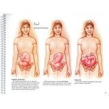 With Child™ Desk Version – 78-Page Prenatal Education Book-Teaching Aids-Birth Supplies Canada