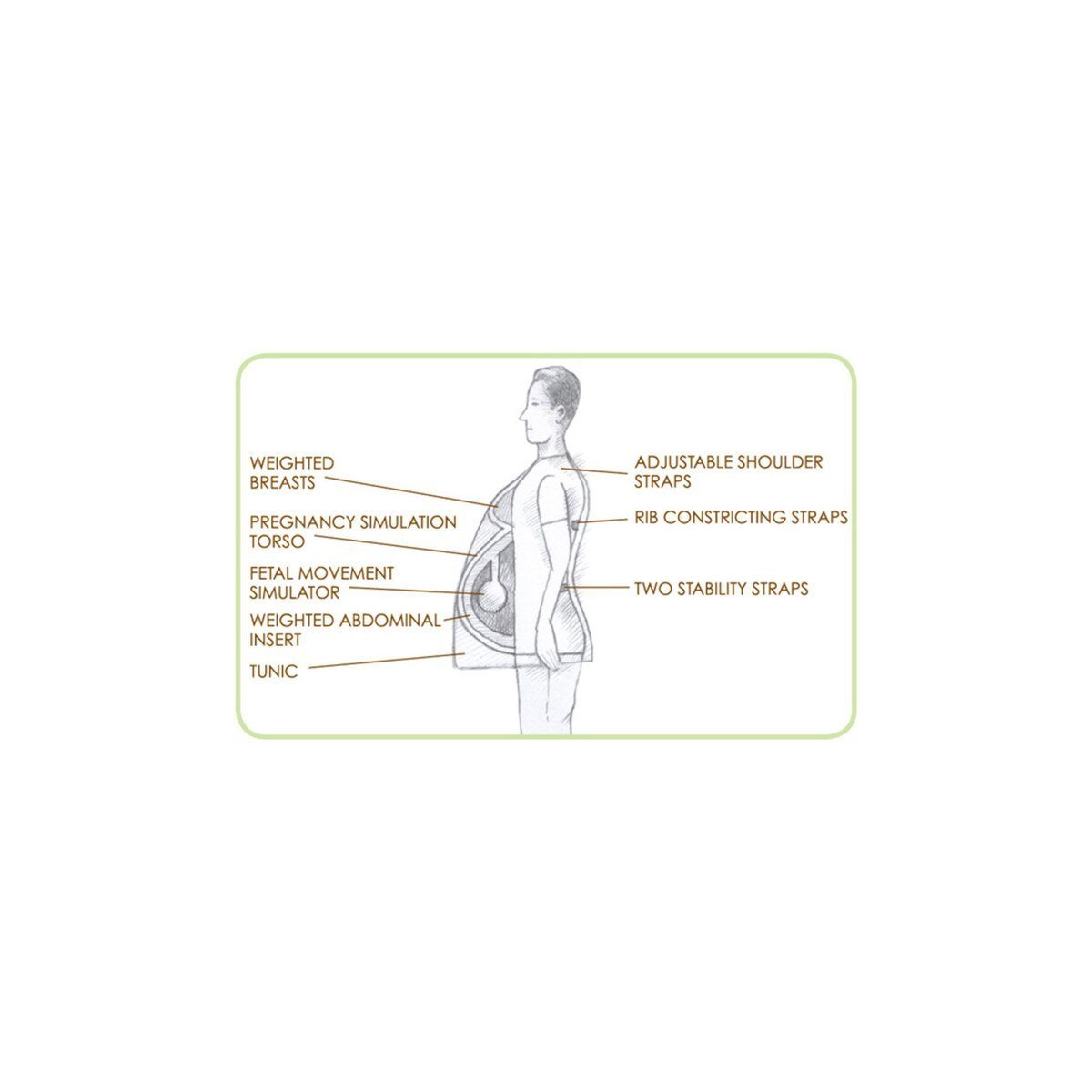 With Child™ Simulator | Healthcare Training Model - Buy Medical Supplies Online Canada