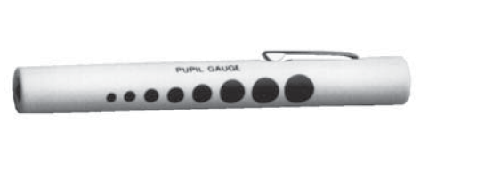 Disposable Penlight with pupil gauge